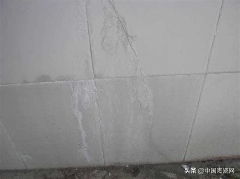 廁所在床旁邊 白磚牆 裂縫